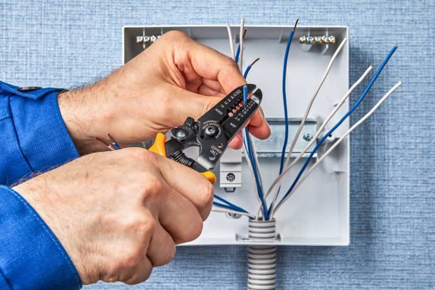 Best Industrial Electrical Services  in Hasley Nyon, CA